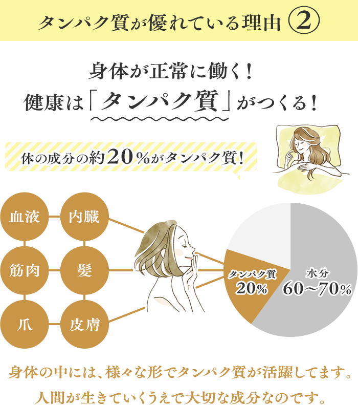タンパク質が優れている理由2 身体が正常に働く！健康は「タンパク質」がつくる！ 体の成分の約20％がタンパク質！ 身体の中には、様々な形でタンパク質が活躍してます。人間が生きていくうえで大切な成分なのです。