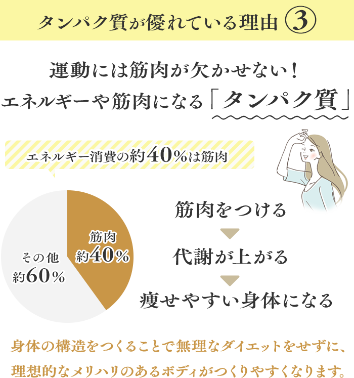 タンパク質が優れている理由3 運動には筋肉が欠かせない！エネルギーや筋肉になる「タンパク質」 エネルギー消費の約40％は筋肉 身体の構造をつくることで無理なダイエットをせずに、理想的なメリハリのあるボディがつくりやすくなります。